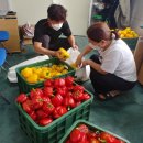 철원군농업기술센터 이미지