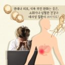 광명인삼