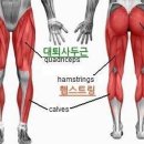 젠틀짐 이미지