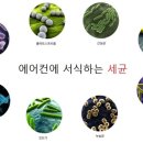 신한약방