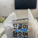 국민간식 쌀떡 | 화명동떡볶이 단골많은 부산떡볶이 국민간식 쌀떡 화명점 포장후기