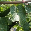 학전농장 이미지