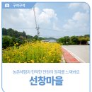 선창농촌체험휴양마을 이미지