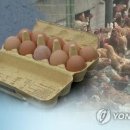 (주)위주축산 이미지