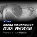소로동물병원