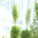 단비네찬 이미지