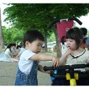 호성자전거 이미지