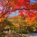 피곤스~~ㅎ 이미지