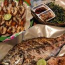 바구스(Bagus) 이미지