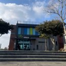 4772 | [제주] 오늘은녹차한잔 족욕 후기 - 여행 중 발 피로 풀기 좋은 힐링카페