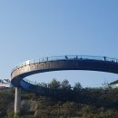 아라 일출 이미지