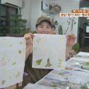 꿀책방