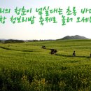 토속보리밭 이미지