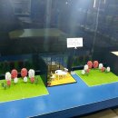 여기서 뽑아 이미지