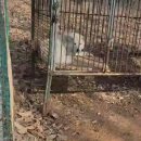 지인농장 이미지