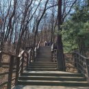 용마산 자락길 코스 이미지