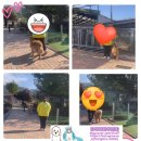 도그피아 애견 훈련 학교 이미지