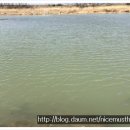 청도천7 이미지