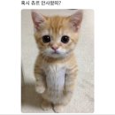 금석 - 중구 태평로 172-1 | 금석