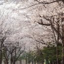 통정3리마을회관 이미지