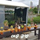 예은공방 이미지