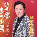 望郷あかね雲(보-쿄-아카네구모, 망향의 붉은 노을 구름) - 奈良崎 正明(나라사키 마사아키) 이미지