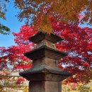 관풍루(觀風樓) | 서울 가볼만한곳 고오급진 단풍 명소 부암동 석파정 서울미술관