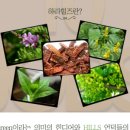 하라힐즈 이미지