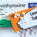 석수동물병원 이미지