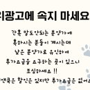 멍멍앤쿡 이미지