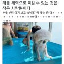 차미용실 이미지