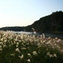 움직이는 마을 이미지