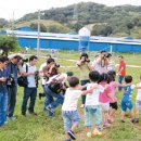 양일농장(한우) 이미지