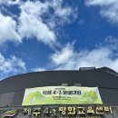 붉은 동백의 기억 | 🌺 제주 4.3을 기억하는 특별한 방법, 동백 화과자 체험 후기 🌺