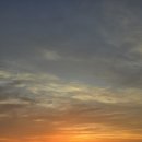 연곡해변 | 연곡해변 솔향기 캠핑장 1박 후기(강릉중앙시장 오징어 순대 추천!!!)