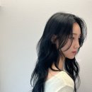 디레이어드