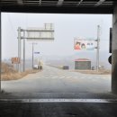 왕순례묘 이미지