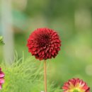 함줄공원 이미지