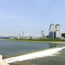 하천(갑천6) 이미지