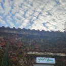 세븐일레븐 아산둔포타운점 | [내돈내산]둔포대형카페 가든블룸 솔직후기 아산리버뷰 카페