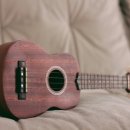 우쿨렐레 | 유튜브만 보고 우쿨렐레 독학한 3개월 솔직 후기