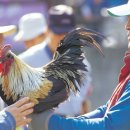 신명농장 이미지