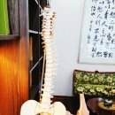 대자연한의원 이미지