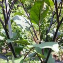 보현농장 이미지