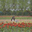 화옌 | 2025 고양국제꽃박람회 입장권 할인 주차 이벤트 볼거리 후기 총정리