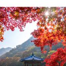 사계절 이미지