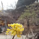 화담펜션 이미지