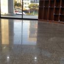 예술광택 이미지