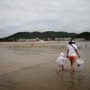 갯벌펜션(민박) 이미지