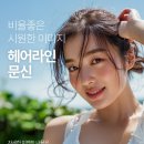 채움의원 네이버블로그